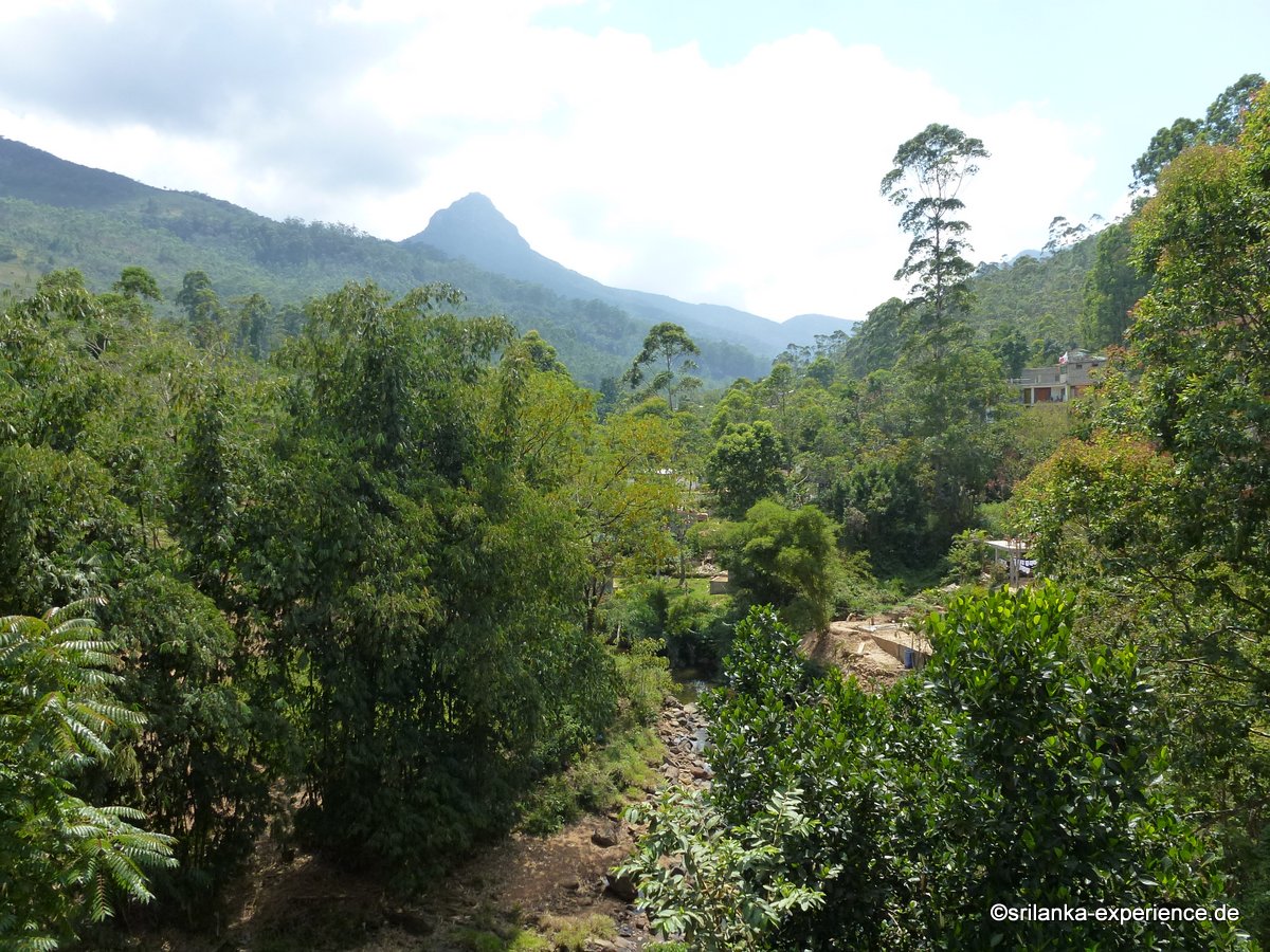 07 Ramboda Falls - Hatton/Dikoya - Dalhousie – srilanka-experience