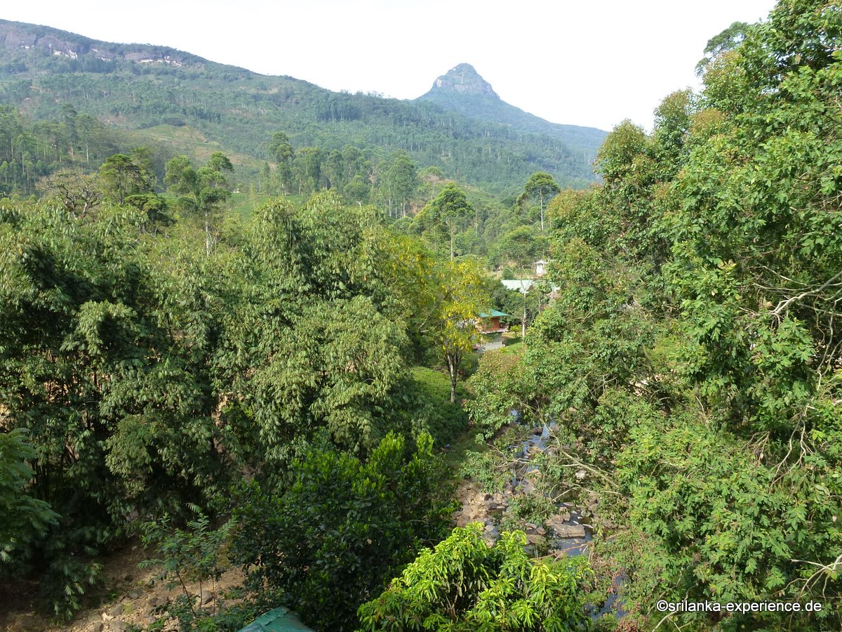 07 Ramboda Falls - Hatton/Dikoya - Dalhousie – srilanka-experience