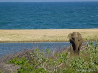 srilanka-experience.de