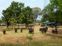 srilanka-experience.de