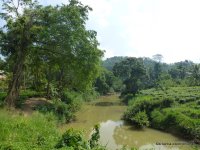 srilanka-experience.de
