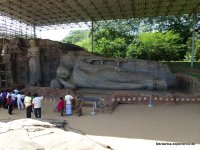 srilanka-experience.de