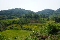 srilanka-experience.de