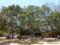 srilanka-experience.de