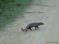 srilanka-experience.de