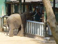 srilanka-experience.de