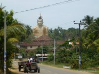 srilanka-experience.de