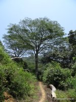 srilanka-experience.de