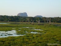 srilanka-experience.de