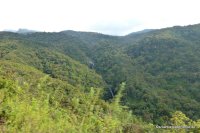 srilanka-experience.de