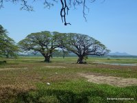 srilanka-experience.de