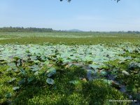 srilanka-experience.de
