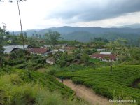 srilanka-experience.de