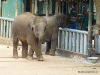srilanka-experience.de