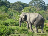 srilanka-experience.de