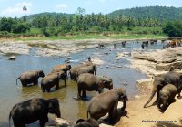 srilanka-experience.de