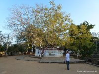 srilanka-experience.de