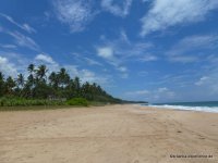 srilanka-experience.de
