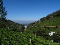 srilanka-experience.de