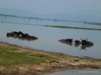 srilanka-experience.de