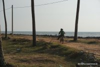 srilanka-experience.de