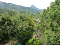 srilanka-experience.de