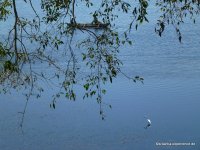 srilanka-experience.de