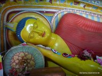 srilanka-experience.de