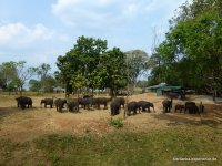 srilanka-experience.de