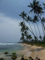 srilanka-experience.de