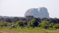 srilanka-experience.de