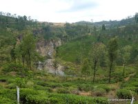 srilanka-experience.de