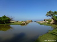 srilanka-experience.de