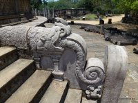 srilanka-experience.de