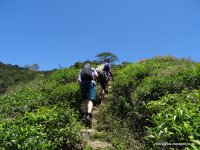 srilanka-experience.de