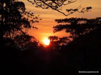 srilanka-experience.de