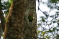 srilanka-experience.de