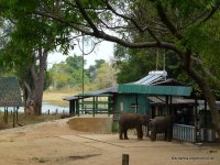 srilanka-experience.de