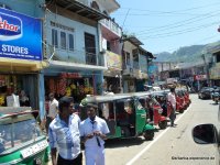 srilanka-experience.de