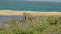 srilanka-experience.de