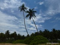 srilanka-experience.de