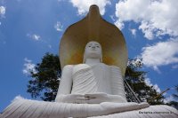 srilanka-experience.de