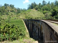 srilanka-experience.de