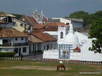 srilanka-experience.de