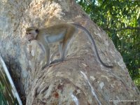 srilanka-experience.de