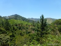 srilanka-experience.de