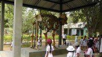 srilanka-experience.de