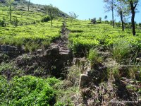 srilanka-experience.de