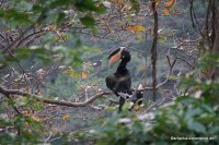 srilanka-experience.de
