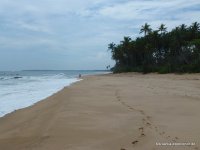 srilanka-experience.de